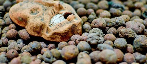 Masque aztèque - Sputnik Afrique