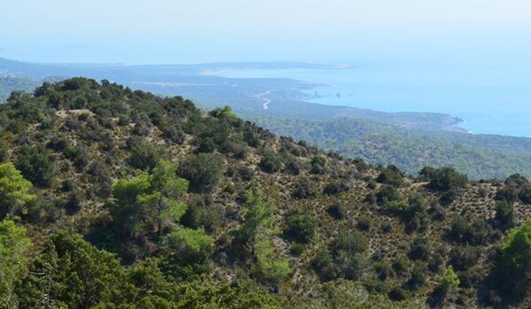 Propriétaire d'une chaîne d'hôtels à Chypre : accepter que les touristes russes paient leurs séjour en roubles - Sputnik Afrique