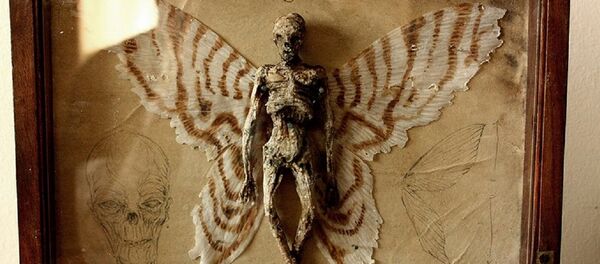 Une squellette d'une fée - Sputnik Afrique