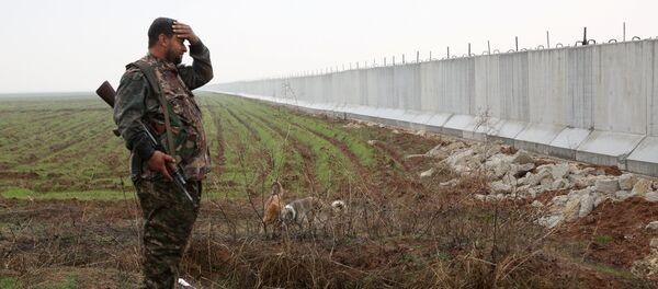 Un combattant des Unités de protection du peuple kurde (YPG) Un combattant des Unités de protection du peuple kurde (YPG) - Sputnik Afrique