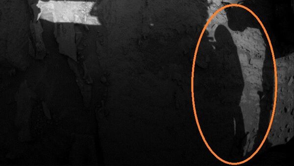 Image d'un astronaute prise par le rover Curiosity - Sputnik Afrique