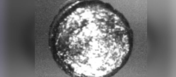 Californium Californium - Sputnik Afrique
