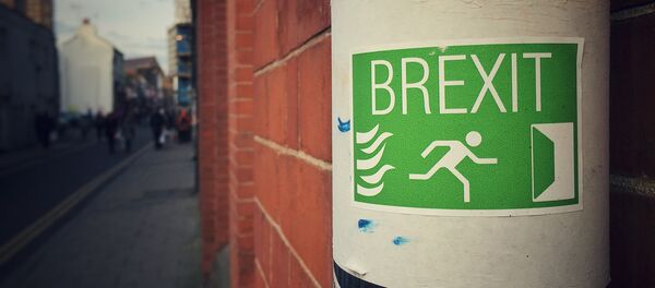 Un panneau en faveur du brexit - Sputnik Afrique