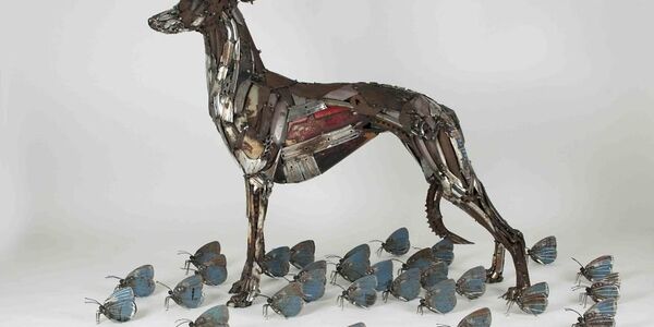 Il crée un lévrier Whippet en recyclant des vélos - Sputnik Afrique