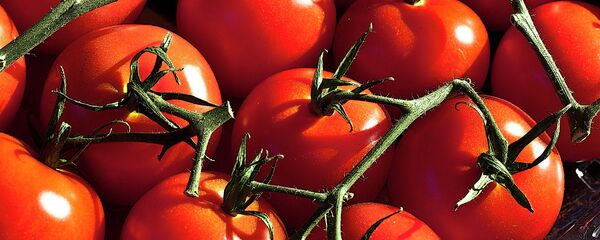 Des tomates - Sputnik Afrique