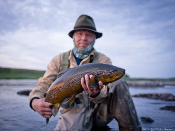 Truite - Sputnik Afrique