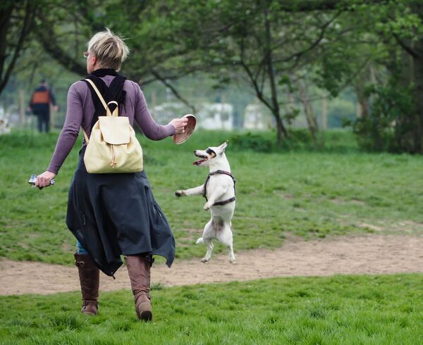 Promenade - Sputnik Afrique