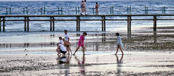 Touristes en Egypte - Sputnik Afrique