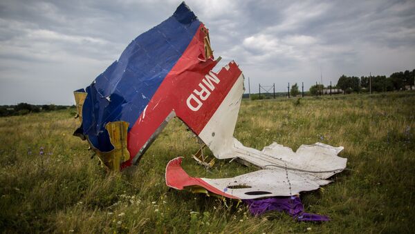 Débris du vol MH17 - Sputnik Afrique