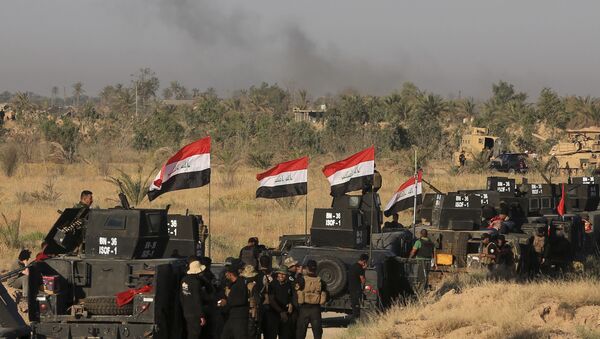 Les forces irakiennes entrent dans Falloujah - Sputnik Afrique