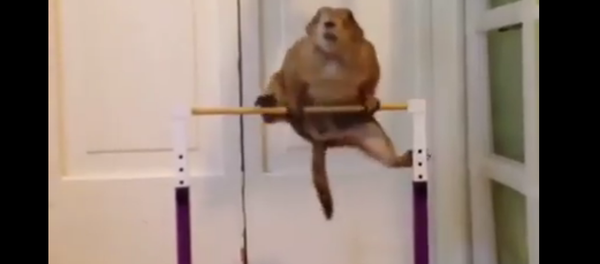 Une vraie motivation pour faire du sport - Sputnik Afrique