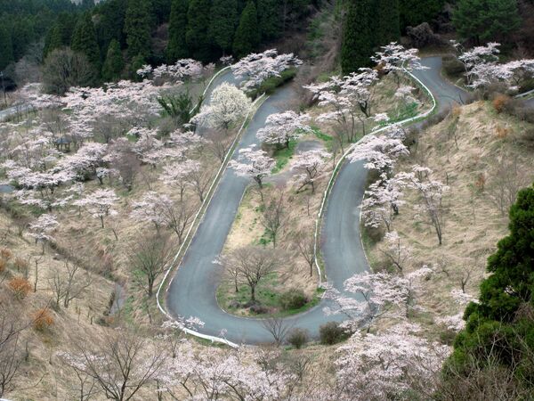 Touge Roads au Japon. - Sputnik Afrique