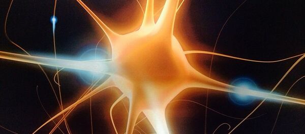 Neurones - Sputnik Afrique