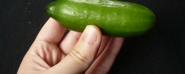 Un concombre - Sputnik Afrique
