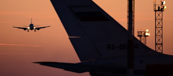 Un atterrissage d'avion - Sputnik Afrique