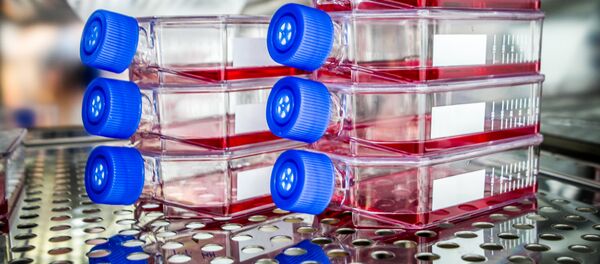 Vascular Tissue Challenge - Sputnik Afrique