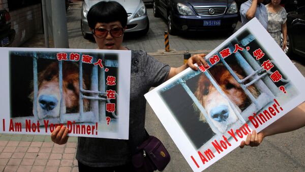 Animal activists hold banners against Yulin Dog Meat Festival in front of Yulin City Representative office in Beijing, China, June 10, 2016. - Sputnik Afrique