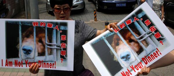 Animal activists hold banners against Yulin Dog Meat Festival in front of Yulin City Representative office in Beijing, China, June 10, 2016. - Sputnik Afrique