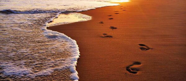Plage - Sputnik Afrique
