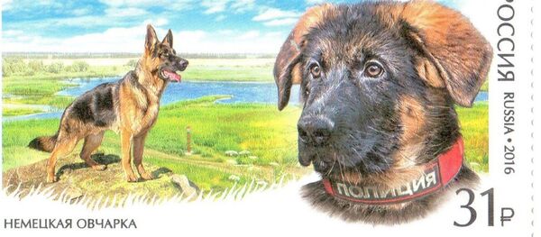 Le chiot Dobrynya fait son apparition sur un timbre russe - Sputnik Afrique