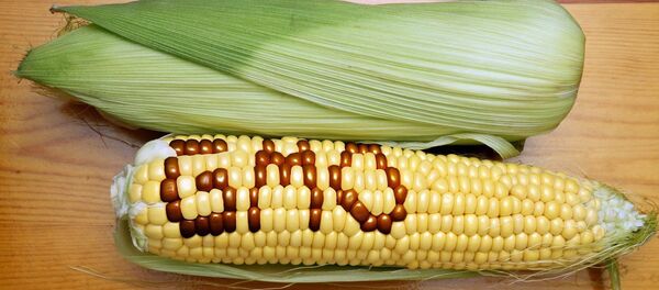 OGM OGM - Sputnik Afrique