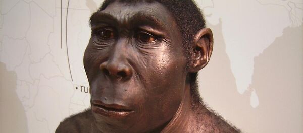Homo erectus - Sputnik Afrique