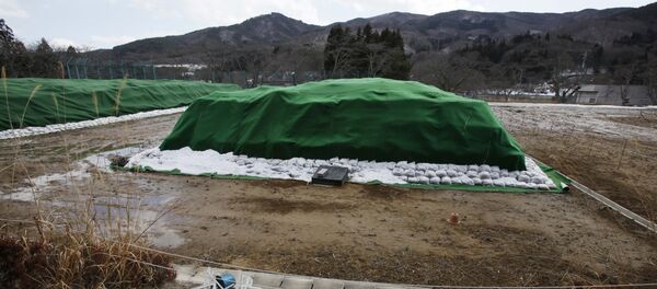 Déchets radioactifs de Fukushima - Sputnik Afrique