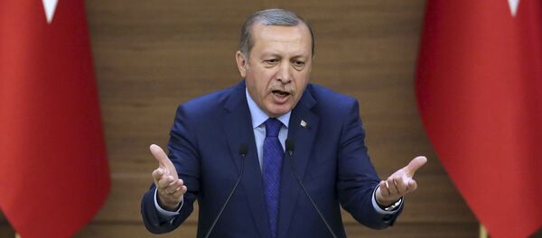 Le président turc Recep Tayyip Erdogan Le président turc Recep Tayyip Erdogan - Sputnik Afrique