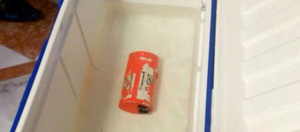 Les boîtes noires de l'avion d'EgyptAir - Sputnik Afrique