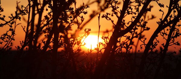 lever du soleil - Sputnik Afrique