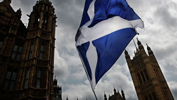 A member of public flies a giant Scottish Saltire flag outside the Houses of Parliament shortly before Scotland First Minister Nicola Sturgeon posed with newly-elected Scottish National Party (SNP) MPs during a photocall in London on May 11, 2015 - Sputnik Afrique