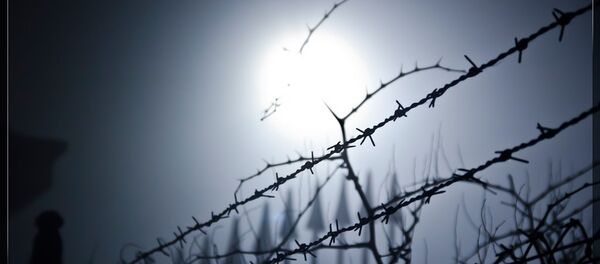 Fil de fer barbelé - Sputnik Afrique