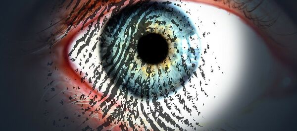 Surveillance - Sputnik Afrique