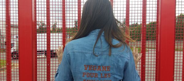 « Lolita Lempicka à « Nuit debout devant les abattoirs » , Houdan - Sputnik Afrique