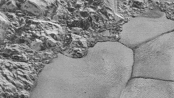 La surface de Pluton - Sputnik Afrique