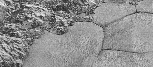 La surface de Pluton - Sputnik Afrique