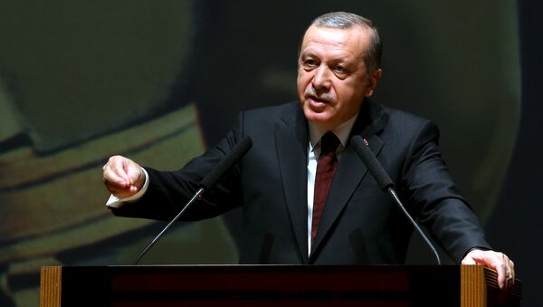 L'avion d'Erdogan aurait été dans la ligne de mire des F-16 des putschistes - Sputnik Afrique