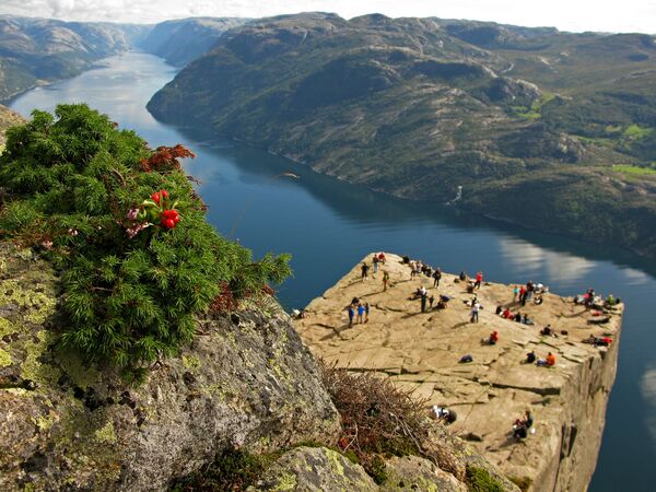 Preikestolen est une imposante falaise qui culmine à 604 mètres au-dessus des eaux du Lysefjord en Norvège. - Sputnik Afrique