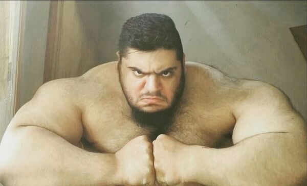 Le Hulk perse rejoint la Syrie pour combattre Daech Le Hulk perse rejoint la Syrie pour combattre Daech - Sputnik Afrique