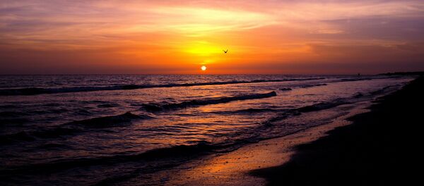 Le golfe du Mexique - Sputnik Afrique