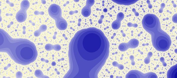 Des bactéries - Sputnik Afrique