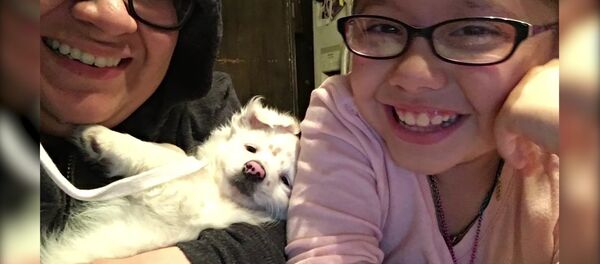 Une fille de 10 ans parle en langue des signes à son petit chien - Sputnik Afrique