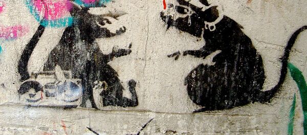 Le graffiti de Banksy détruit à Melbourne - Sputnik Afrique