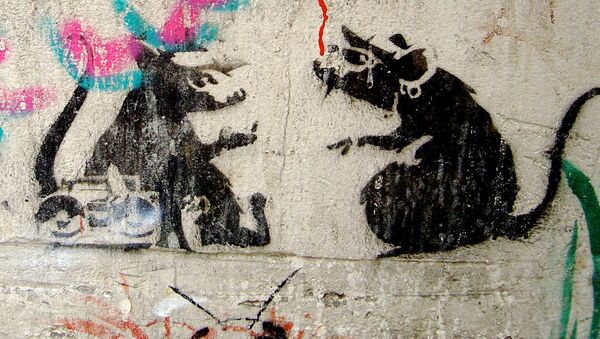Le graffiti de Banksy détruit à Melbourne - Sputnik Afrique
