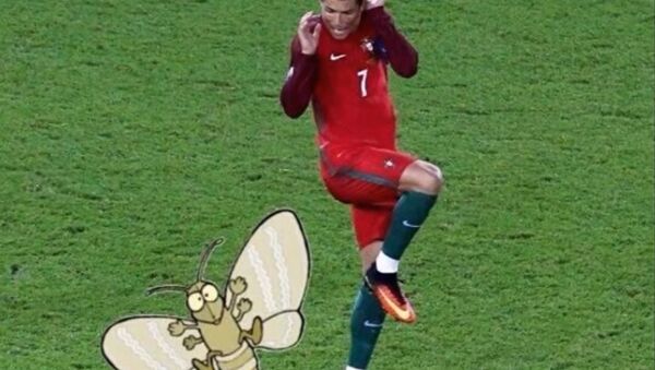 Un mème avec Cristiano Ronaldo et le papillon - Sputnik Afrique