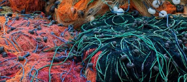 Filet Image d'illustration - Sputnik Afrique