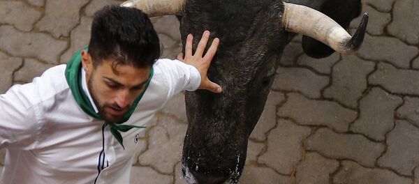 A reveler is chased by a fighting bull during the running of the bulls at the San Fermin Festival, in Pamplona, Spain, Saturday, July 9, 2016 - Sputnik Afrique