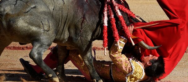 Un taureau avec un matador - Sputnik Afrique