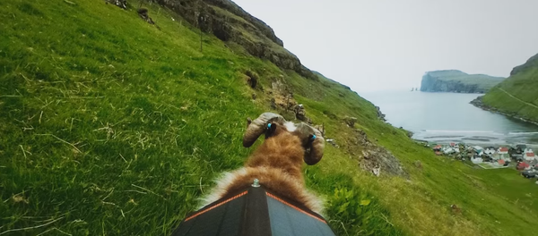 Faute de Google Street View, les moutons photographient les îles Féroé - Sputnik Afrique