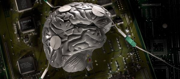 cerveau cerveau - Sputnik Afrique